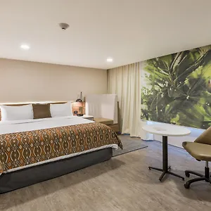 Wyndham Garden Hotel